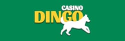 dingo casino